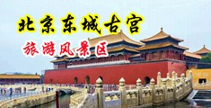 男女免费淫荡视频中国北京-东城古宫旅游风景区