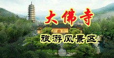 女生逼被操网站中国浙江-新昌大佛寺旅游风景区